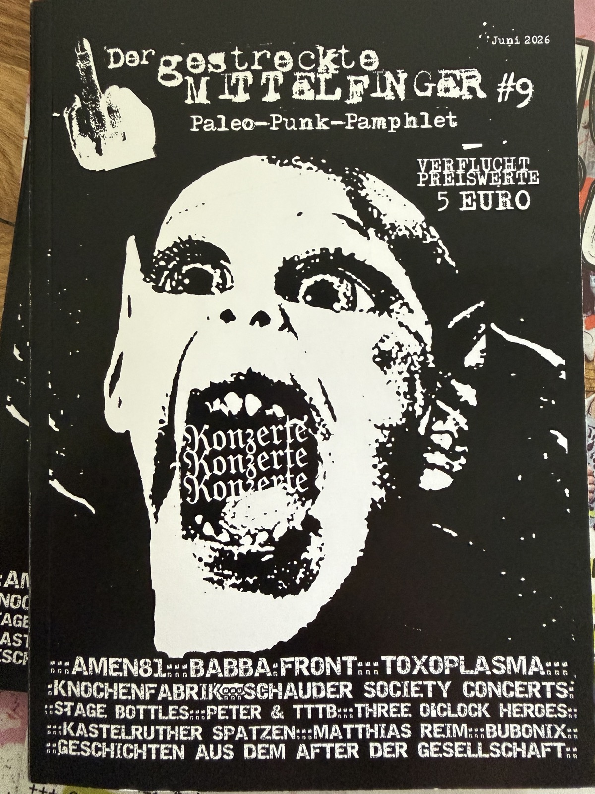 DER GESTRECKTE MITTELFINGER #9 Fanzine