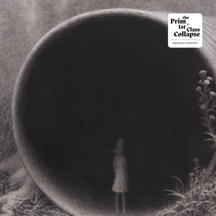 THE PRIM / 1ST CLASS COLLAPSE Split 12" Color
